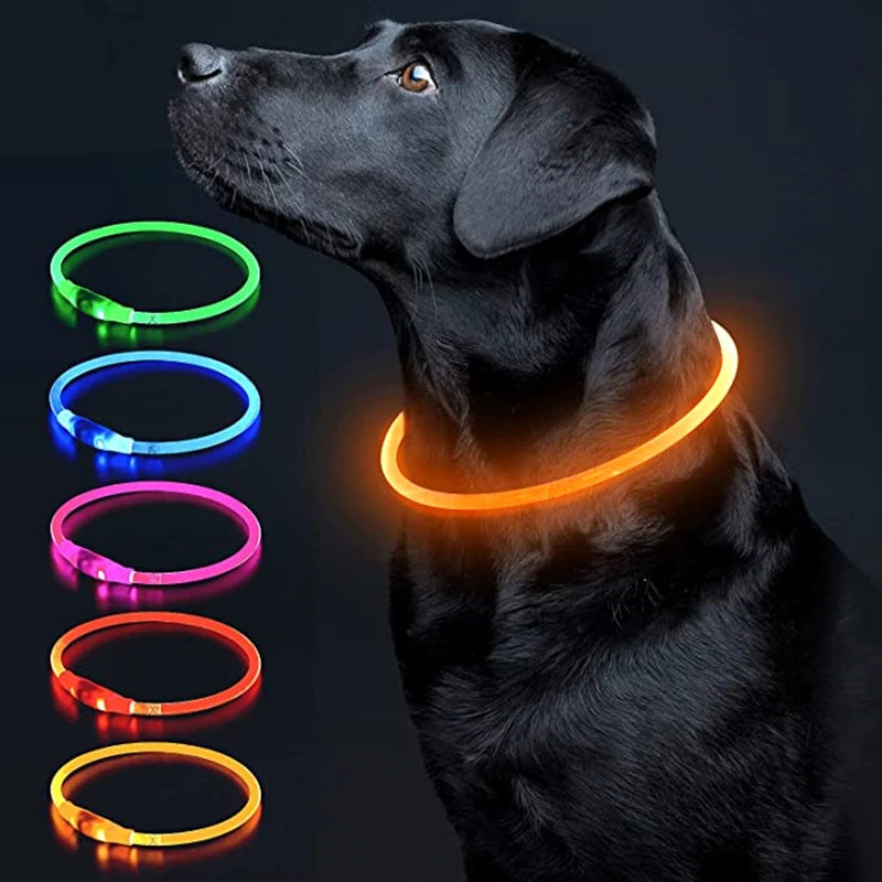 Pawfect 360 Degree LED Luminous Collar - USB Rechargeable
