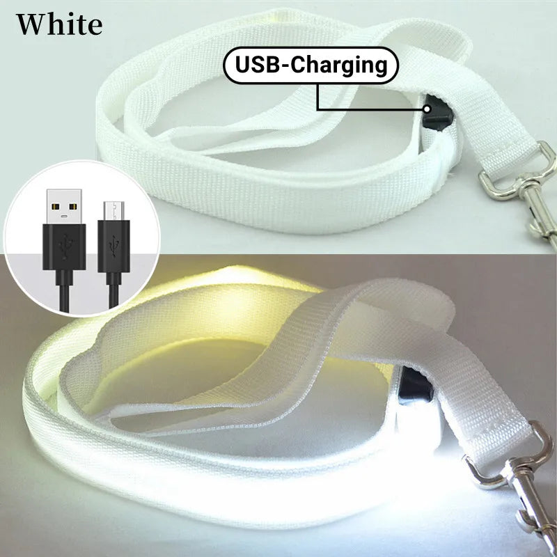 Pawfect LumiLeash - USB Rechargeable LED Dog Leash