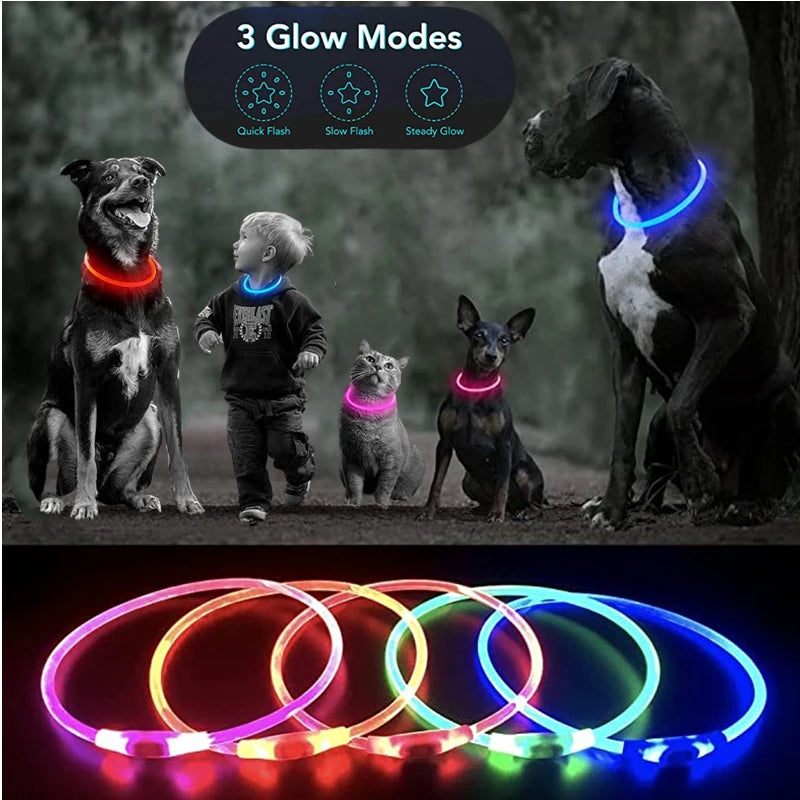 Pawfect 360 Degree LED Luminous Collar - USB Rechargeable