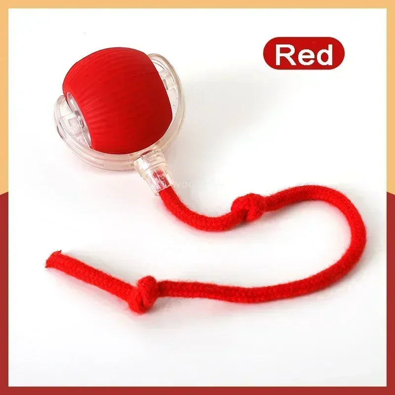 Pawfect Interactive Cat Ball with Rope