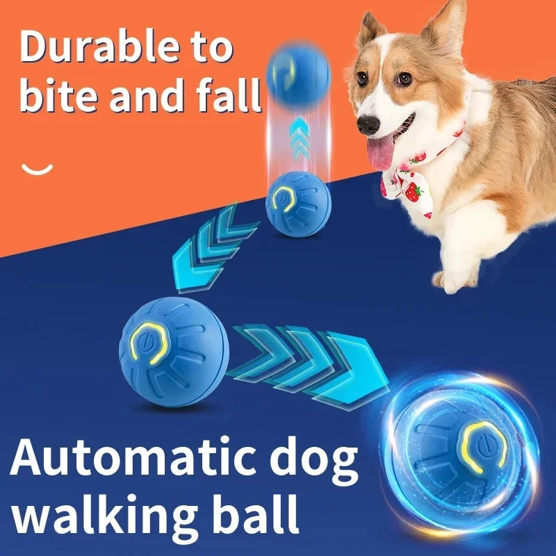 Pawfect Automatic Rolling Ball