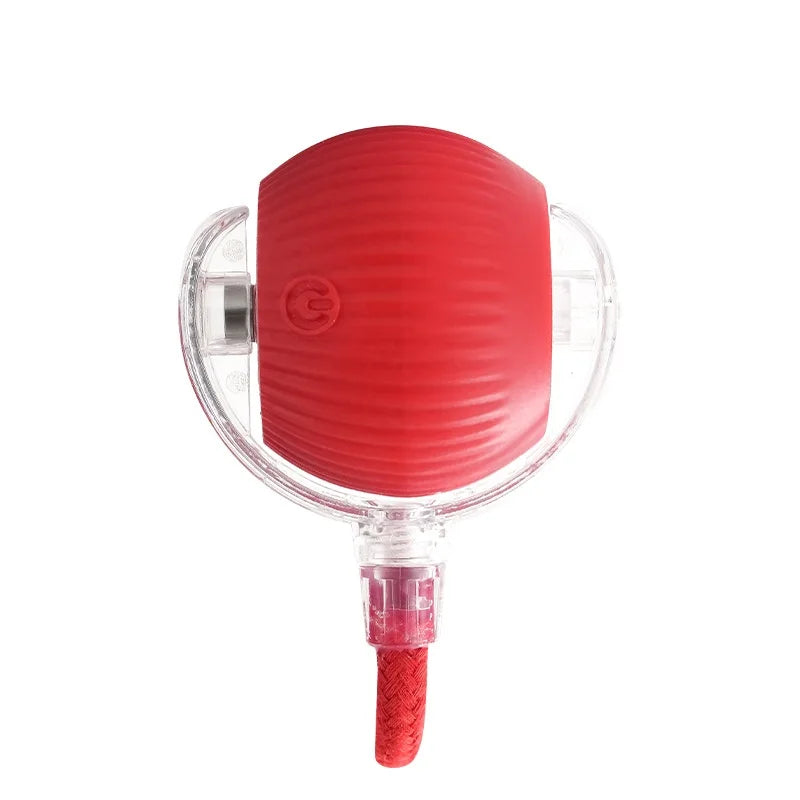 Pawfect Interactive Cat Ball with Rope