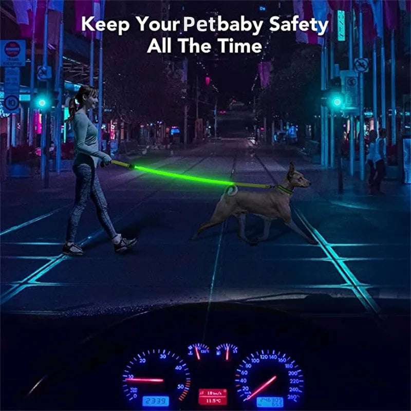 Pawfect LumiLeash - USB Rechargeable LED Dog Leash