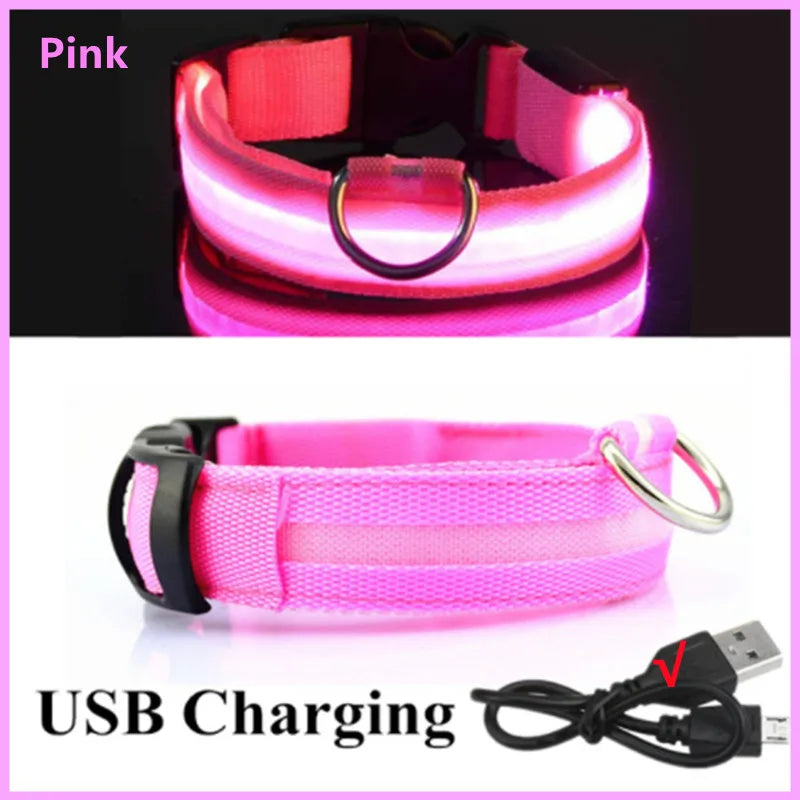 Pawfect Luminous Collar - USB Rechargeable