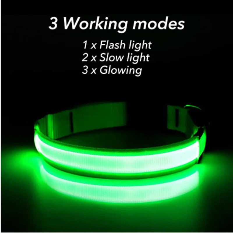 Pawfect Luminous Collar - USB Rechargeable