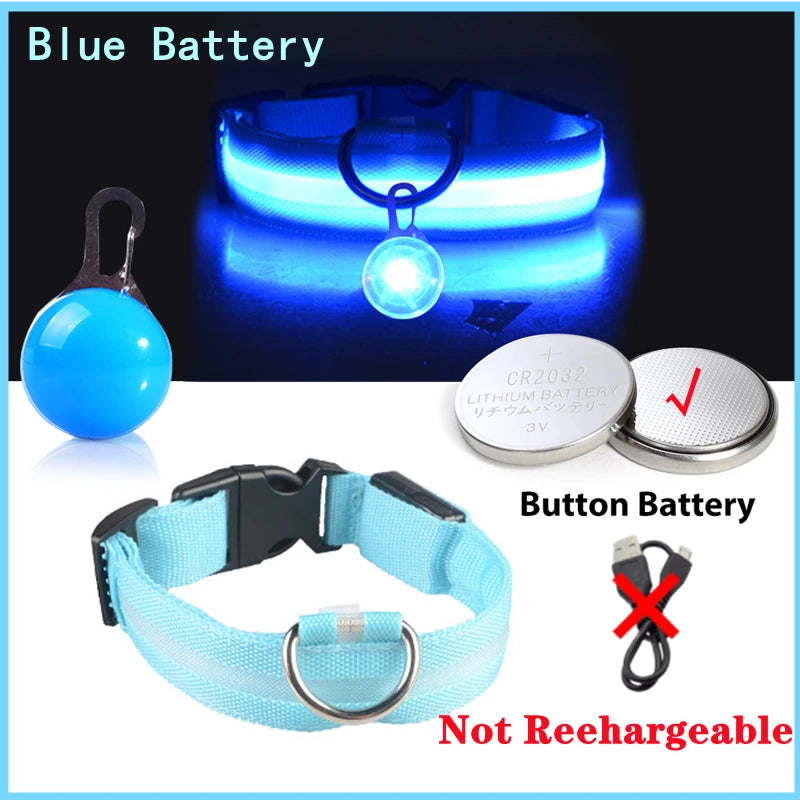 Pawfect Luminous Dog Collar & Detachable Pendant Set
