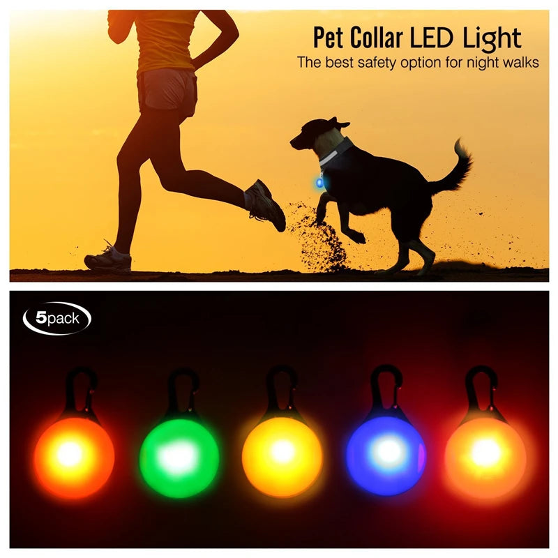 Pawfect Luminous Dog Collar & Detachable Pendant Set