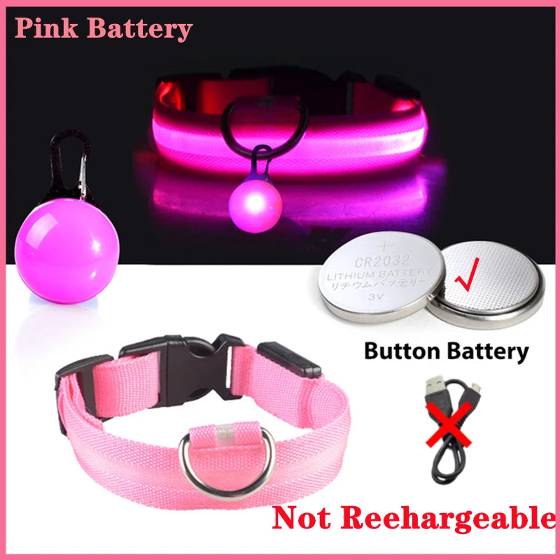 Pawfect Luminous Dog Collar & Detachable Pendant Set