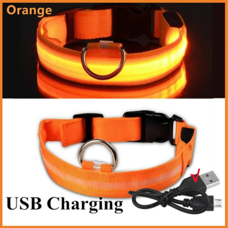 Pawfect Luminous Collar - USB Rechargeable