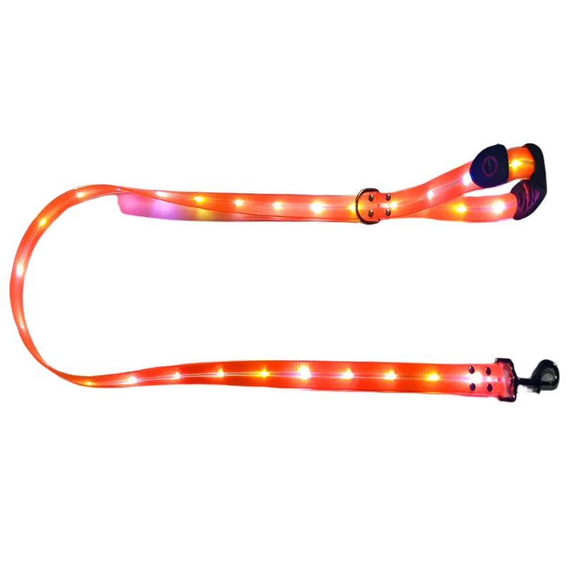 Pawfect Glow-In-The-Dark Leash