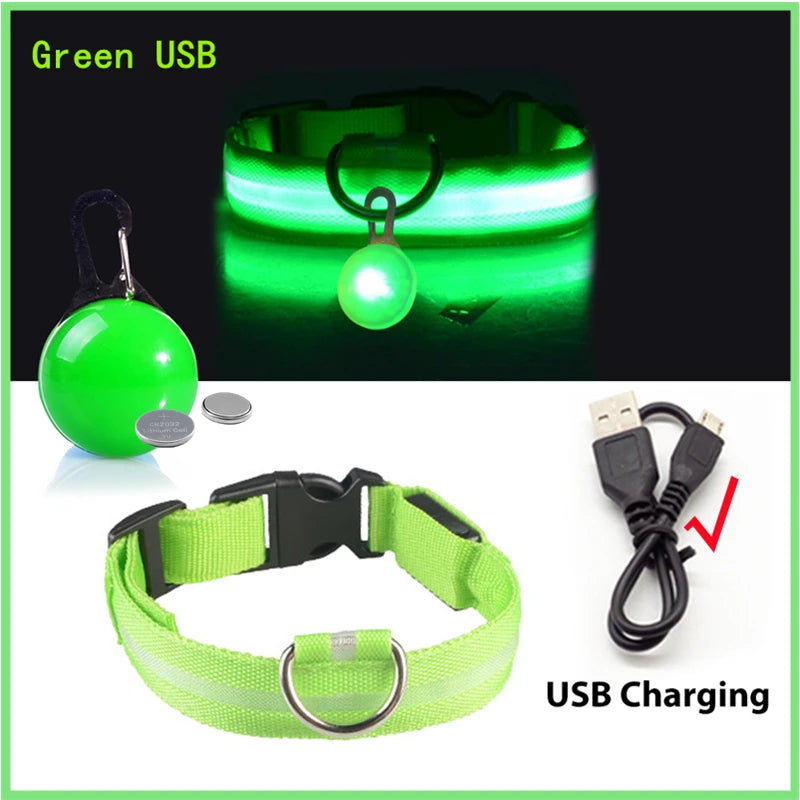 Pawfect Luminous Dog Collar & Detachable Pendant Set