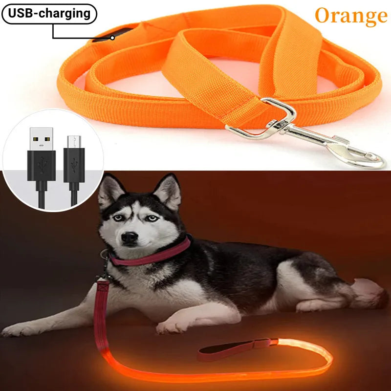Pawfect LumiLeash - USB Rechargeable LED Dog Leash