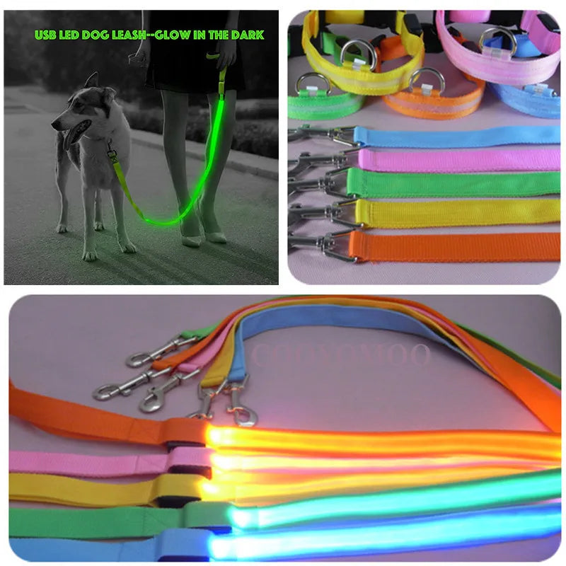 Pawfect LumiLeash - USB Rechargeable LED Dog Leash