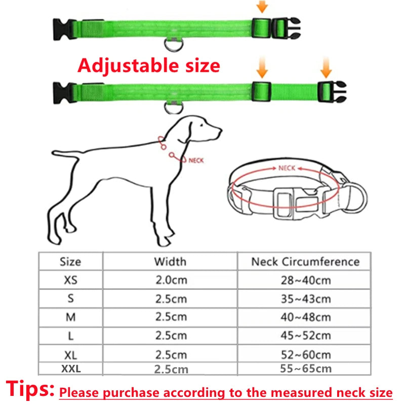 Pawfect Luminous Collar - USB Rechargeable