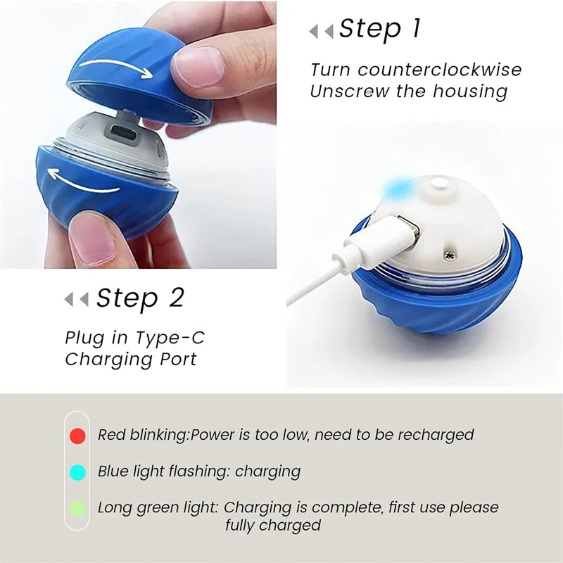 Pawfect Automatic Rolling Ball