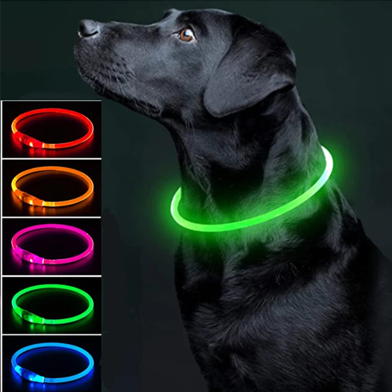 Pawfect 360 Degree LED Luminous Collar - USB Rechargeable