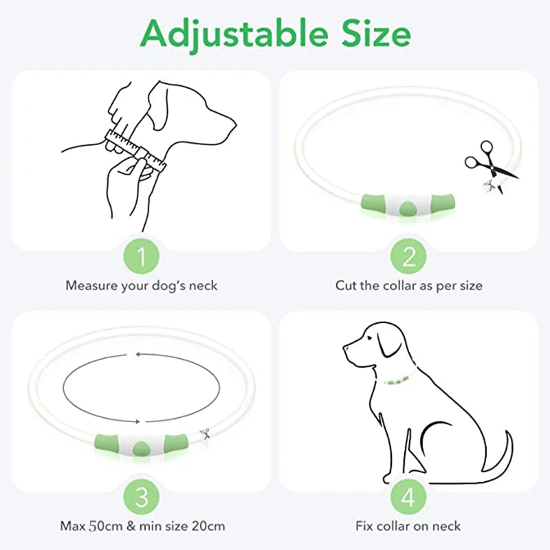 Pawfect 360 Degree LED Luminous Collar - USB Rechargeable