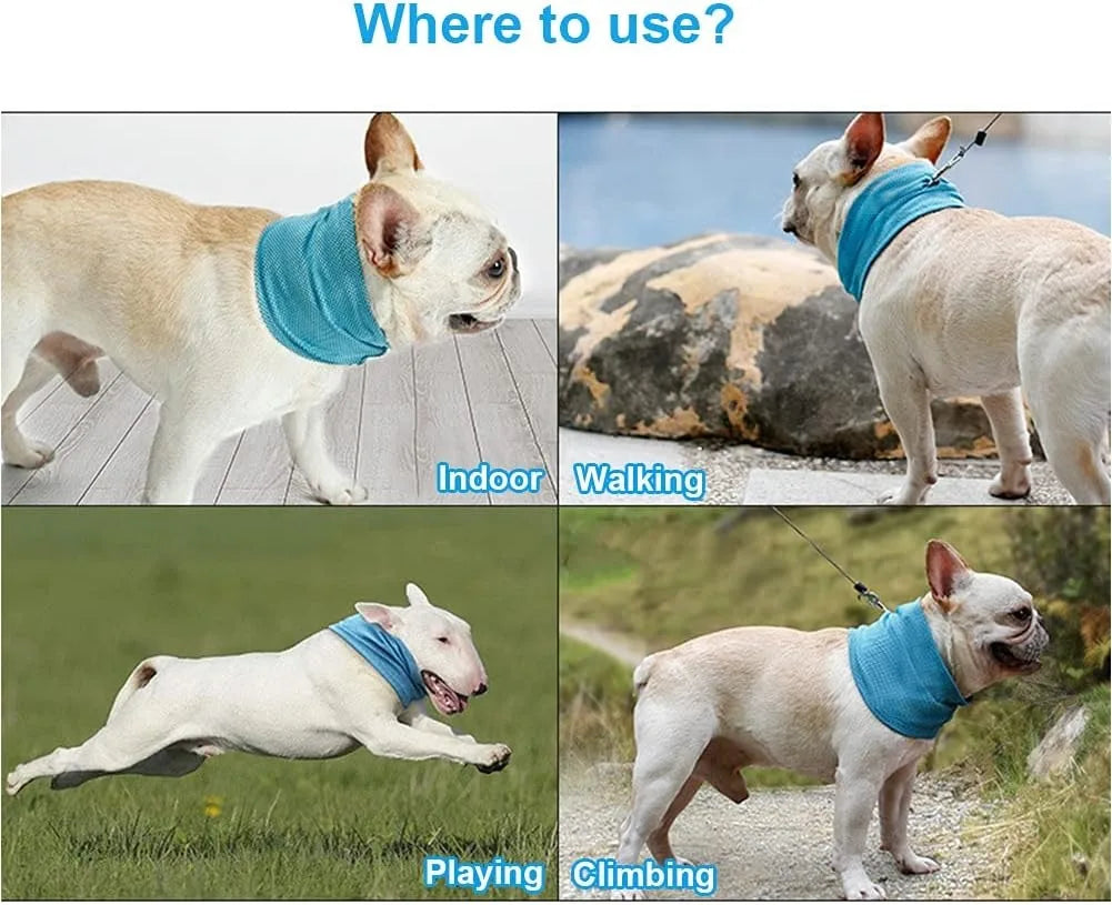 Pawfect Cooling Bandana for Dogs