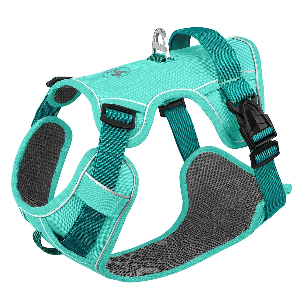 Mesh Breathable Anti-Pull Harness - Designed for Small and Medium Dogs