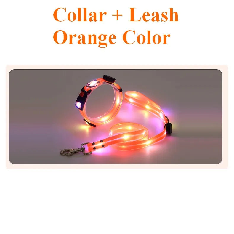 Pawfect Glow-In-The-Dark Leash