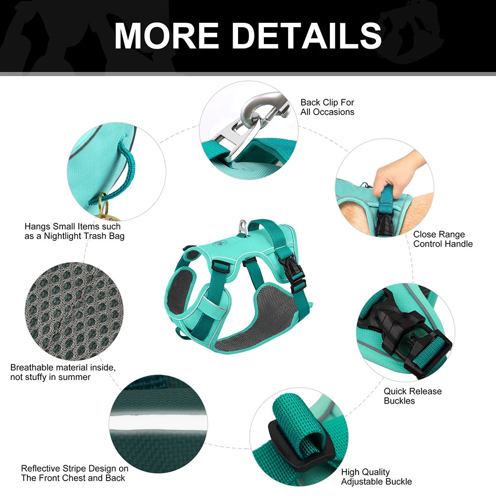 Mesh Breathable Anti-Pull Harness - Designed for Small and Medium Dogs