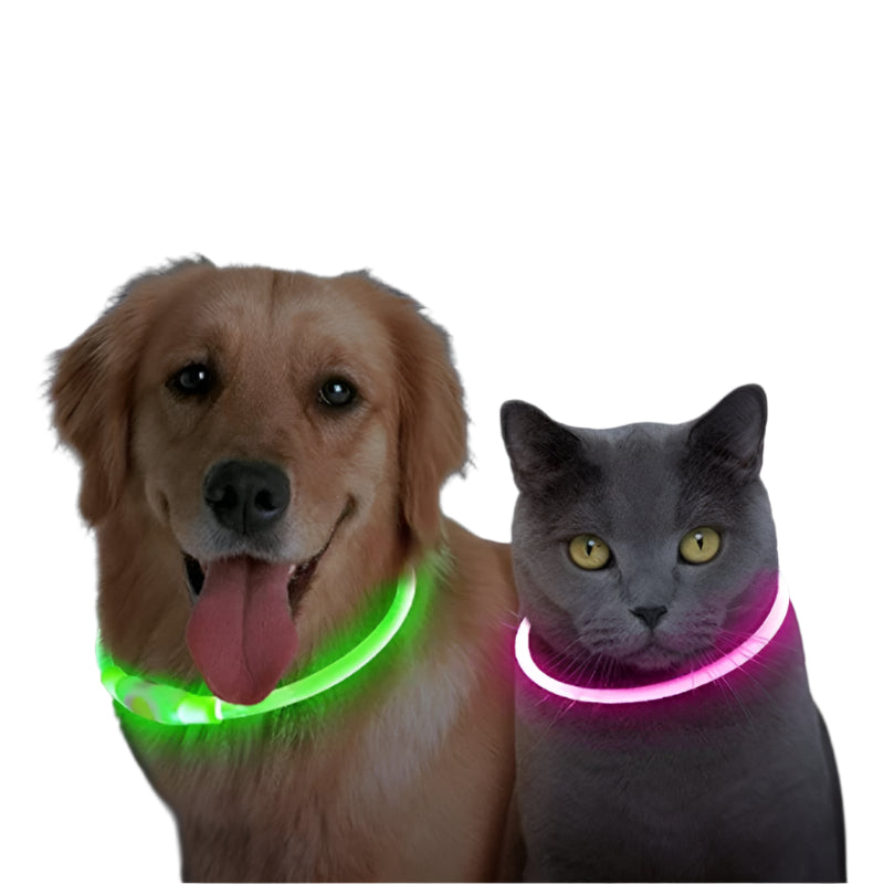 Pawfect 360 Degree LED Luminous Collar - USB Rechargeable