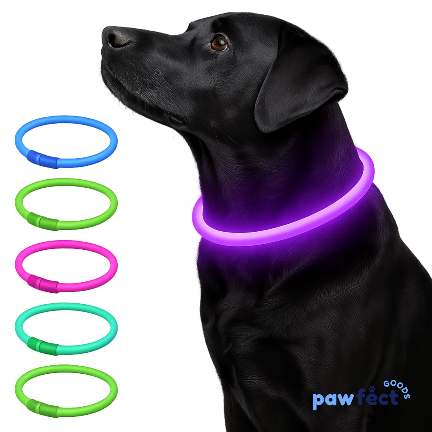 Pawfect 360 Degree LED Luminous Collar - USB Rechargeable