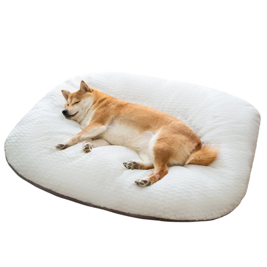 Pawfect Cloud Comfort Fleece Bed