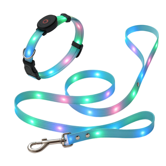 Pawfect Glow-In-The-Dark Leash
