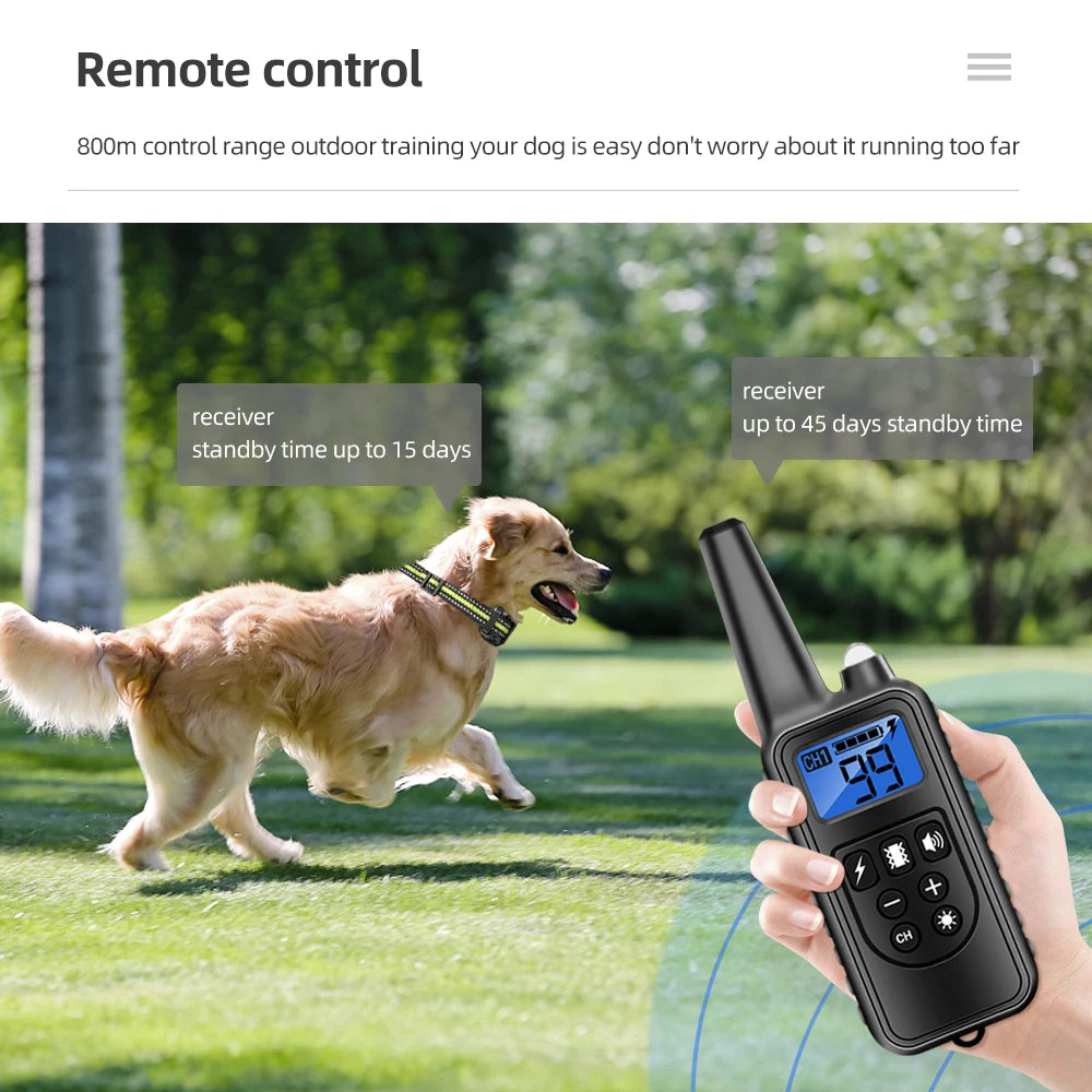 Rechargeable Waterproof Dog Training Collar – 800M Remote