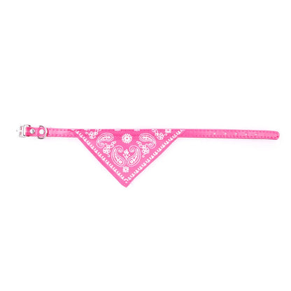 Pawfect Cat Bandana Collar