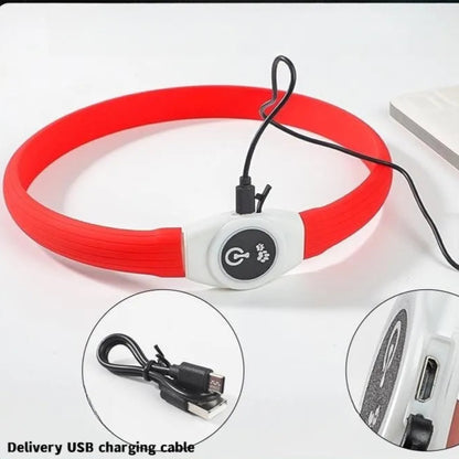 Pawfect Led Luminous Spot Collar - USB Rechargeable