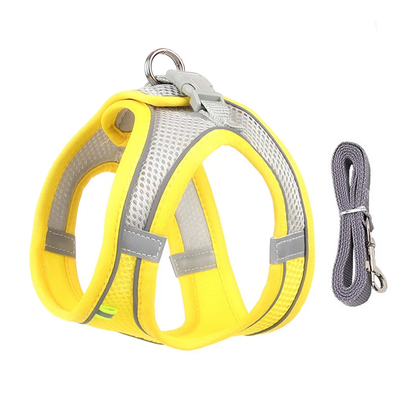 Pawfect Dog Harness & Leash Set for Small Dogs & Cats