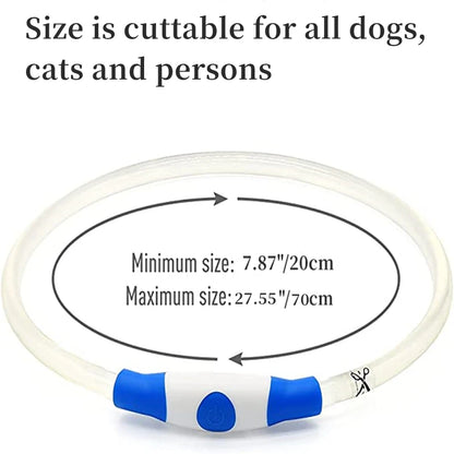 Pawfect 360 Degree LED Luminous Collar -  USB Rechargeable