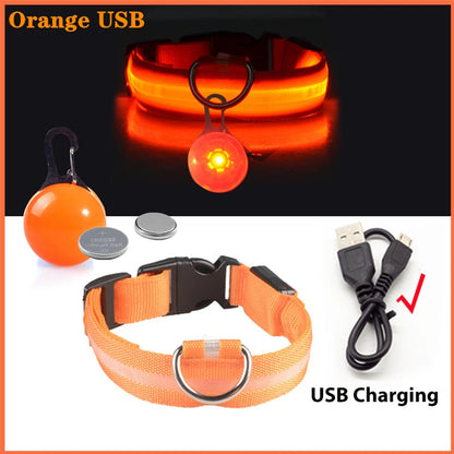 Pawfect Luminous Dog Collar & Detachable Pendant Set