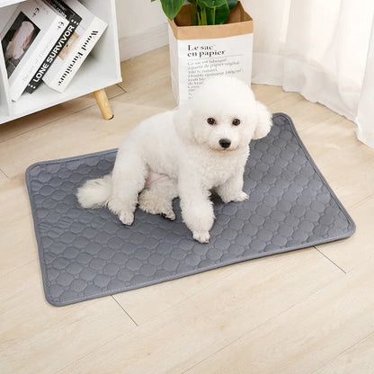 Pawfect Reusable Dog Pee Pad