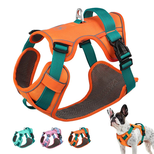 Mesh Breathable Anti-Pull Harness - Designed for Small and Medium Dogs