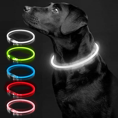 Pawfect 360 Degree LED Luminous Collar -  USB Rechargeable