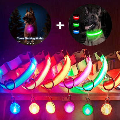 Pawfect Luminous Dog Collar & Detachable Pendant Set