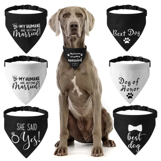 Pawfect Wedding Themed Dog Bandana