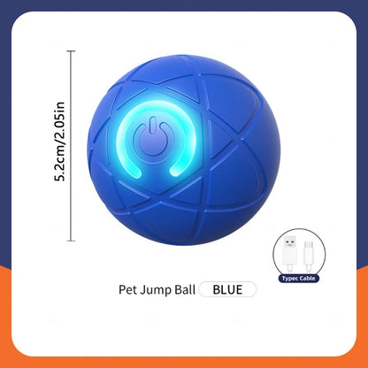 Pawfect Automatic Rolling Ball
