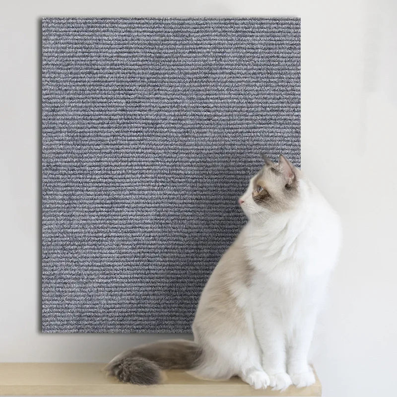 Pawfect Adhesive ScratchGuard