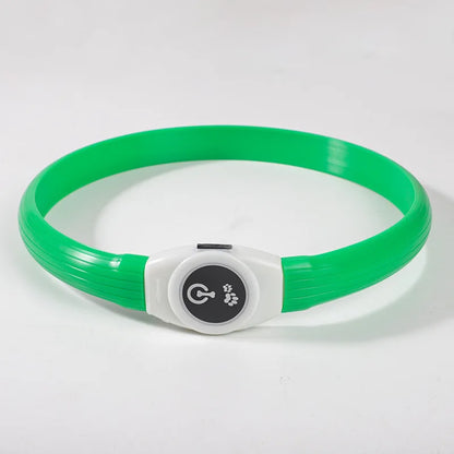 Pawfect Led Luminous Spot Collar - USB Rechargeable