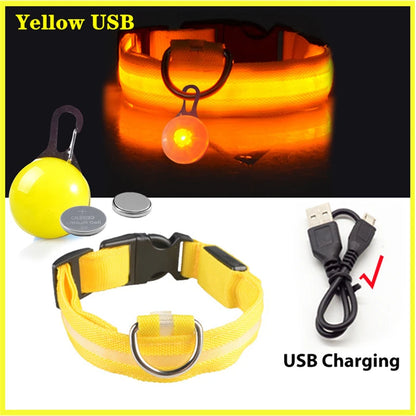 Pawfect Luminous Dog Collar & Detachable Pendant Set