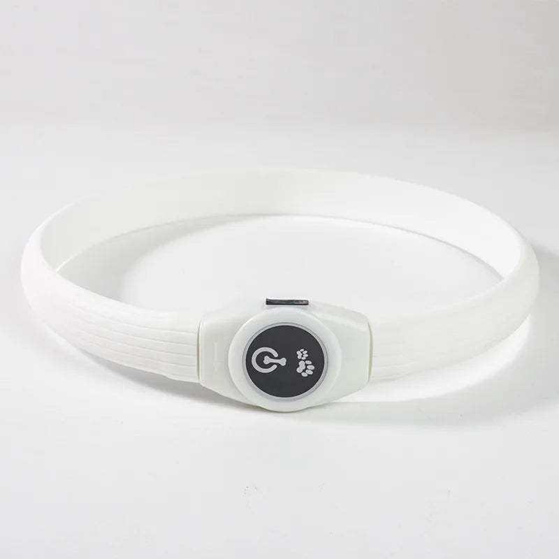 Pawfect Led Luminous Spot Collar - USB Rechargeable