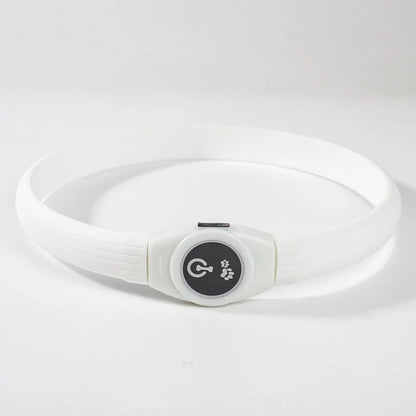 Pawfect Led Luminous Spot Collar - USB Rechargeable