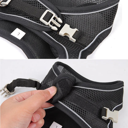 Pawfect Dog Harness & Leash Set for Small Dogs & Cats