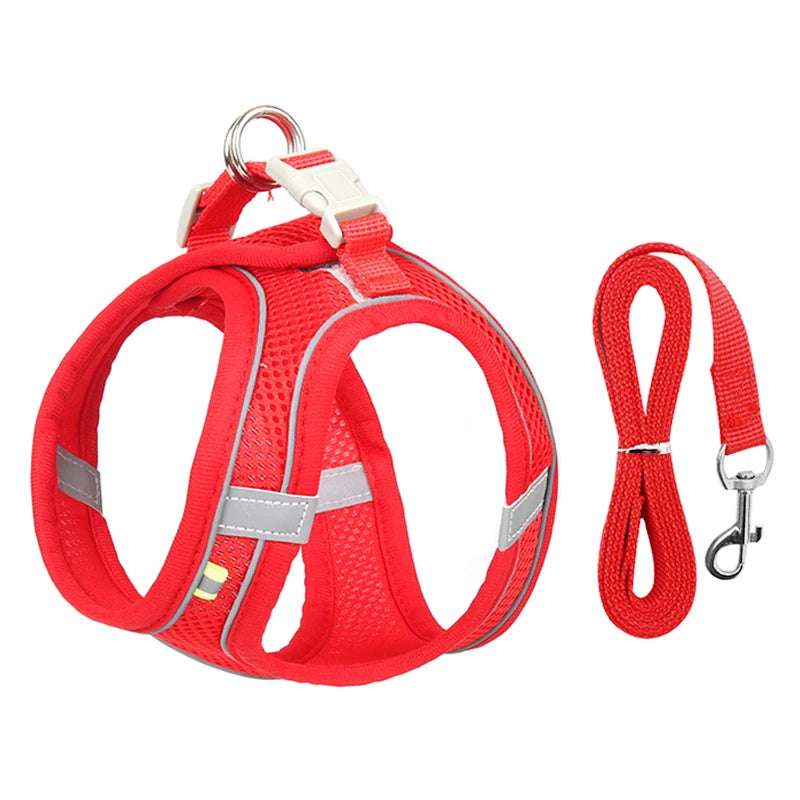 Pawfect Dog Harness & Leash Set for Small Dogs & Cats
