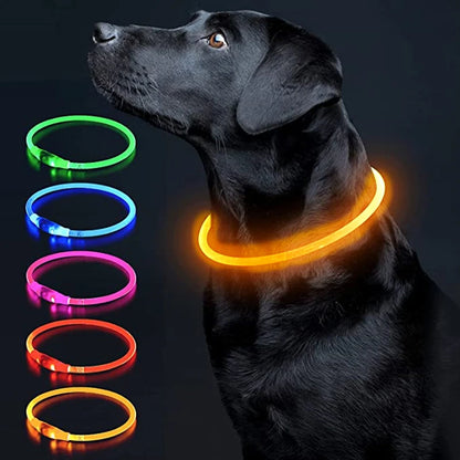 Pawfect 360 Degree LED Luminous Collar -  USB Rechargeable