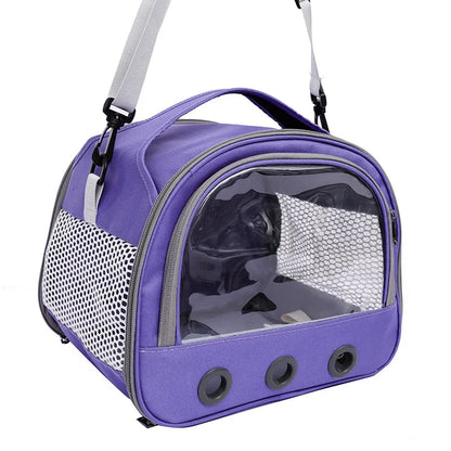 Pawfect Transparent Pet Carrier